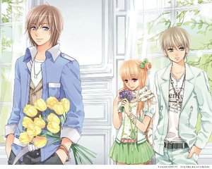 午夜电影在线观看免费无需插件